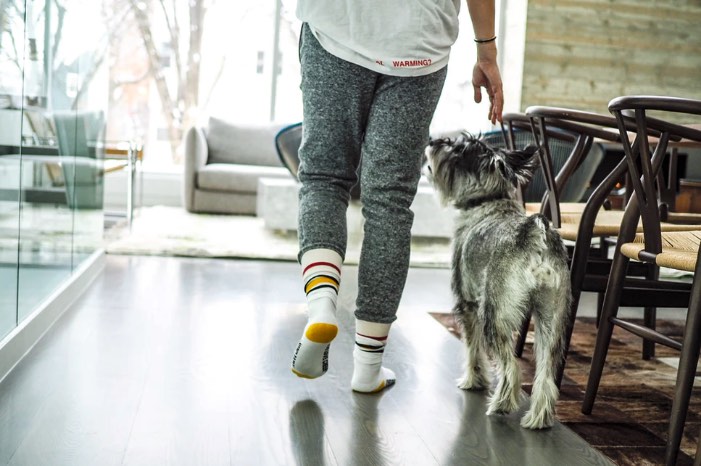 Woman at home in comfy clothes walking with dog